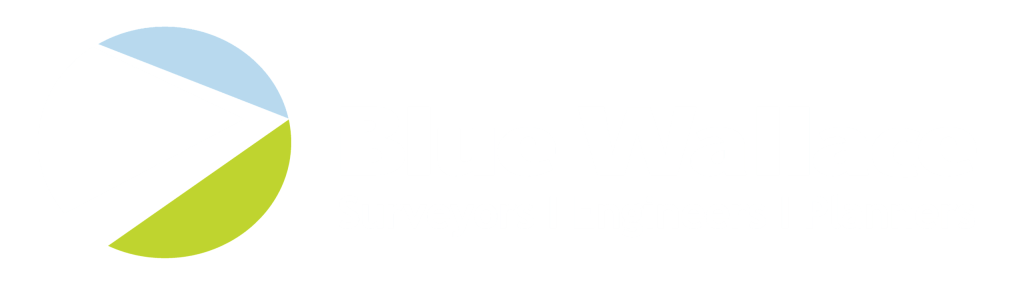 Blue Wallace Surveyors logo Blue Wallace Surveyors logo
