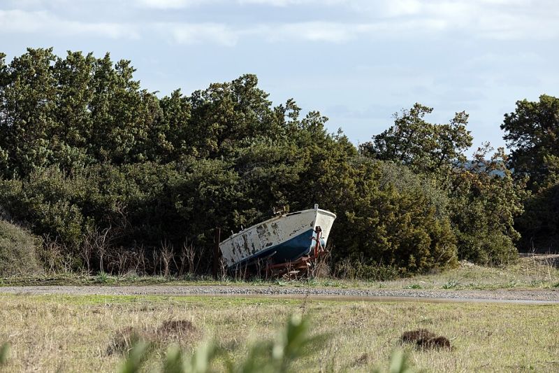 caravan