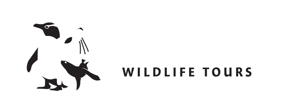 Clearwater Wildlife Tours logo Clearwater Wildlife Tours logo