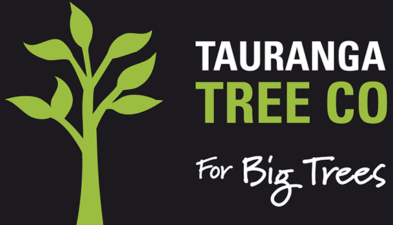 Tauranga Tree Co logo Tauranga Tree Co logo