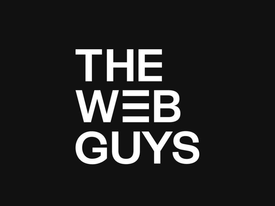 The Web Guys